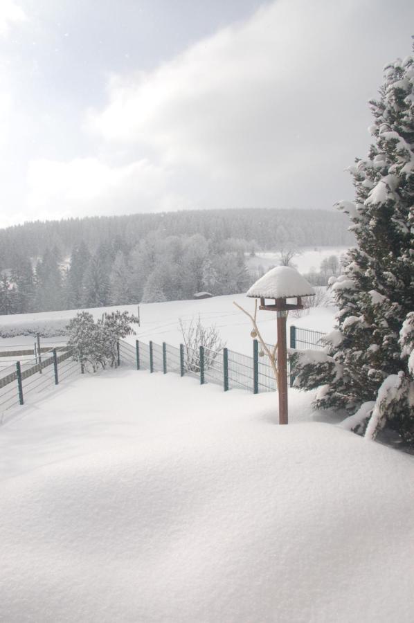 Ferienhaus Waldblick Siegmundsburg ภายนอก รูปภาพ