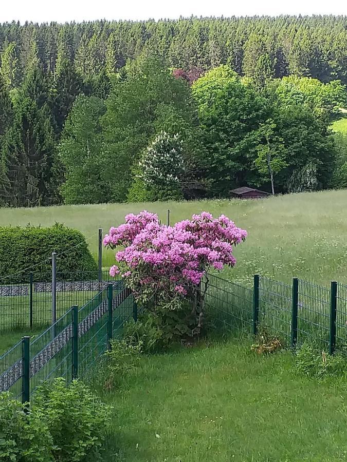 Ferienhaus Waldblick Siegmundsburg ภายนอก รูปภาพ