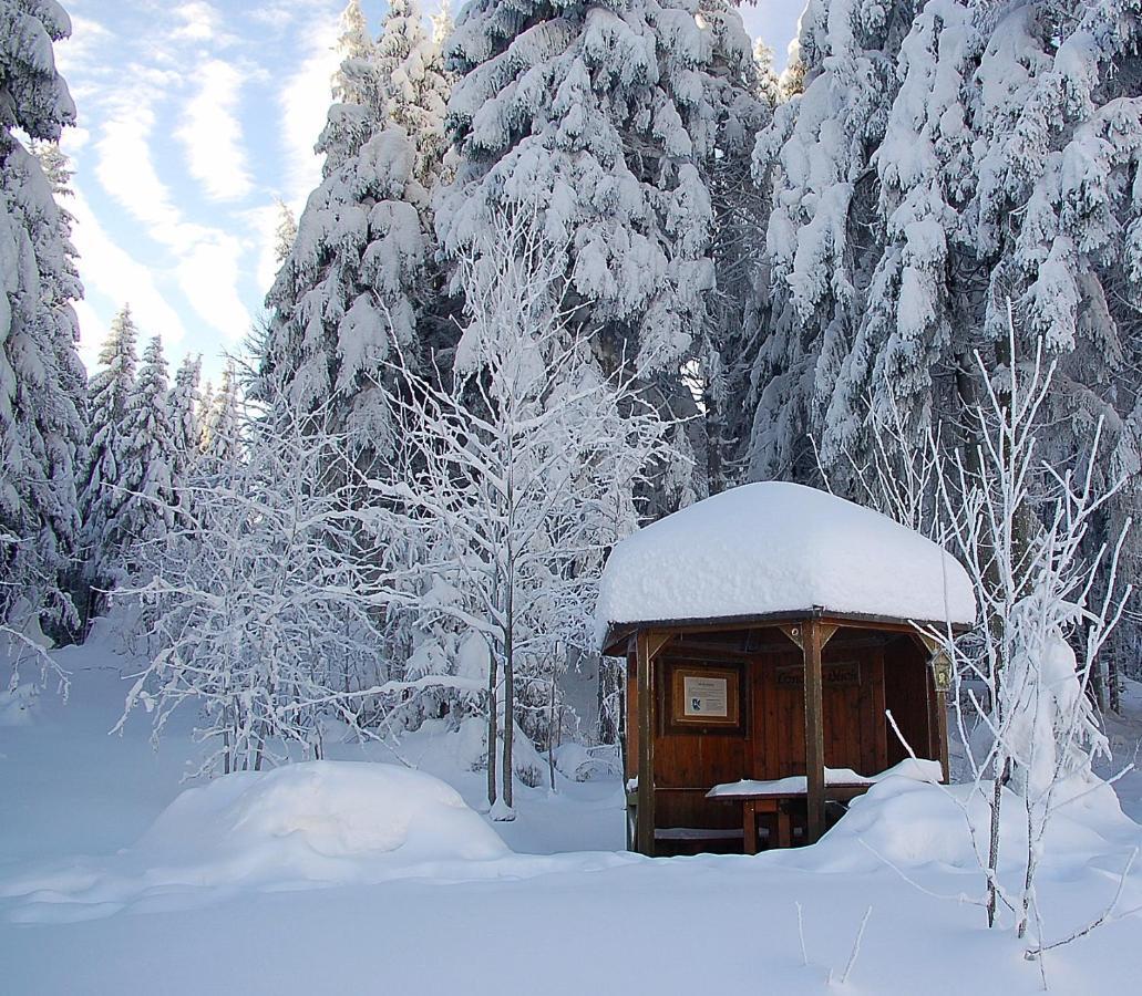 Ferienhaus Waldblick Siegmundsburg ภายนอก รูปภาพ