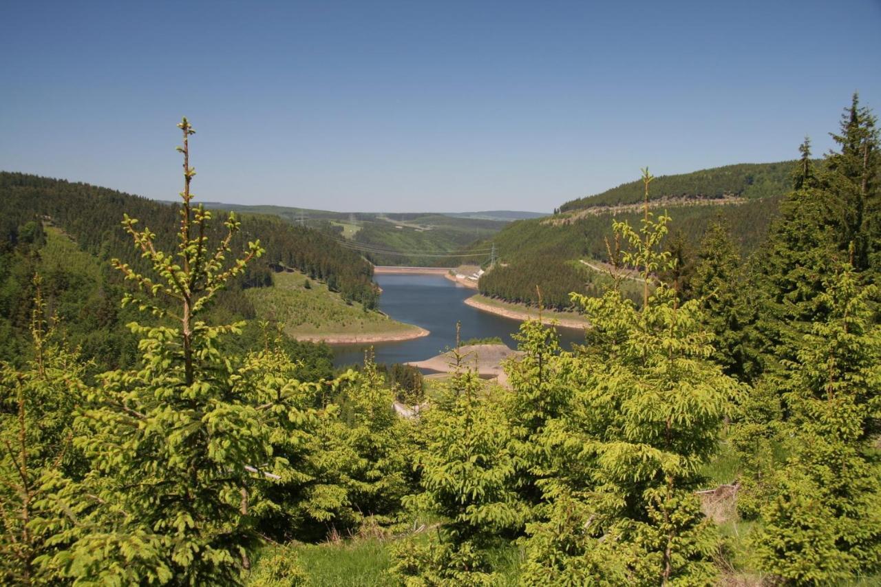 Ferienhaus Waldblick Siegmundsburg ภายนอก รูปภาพ